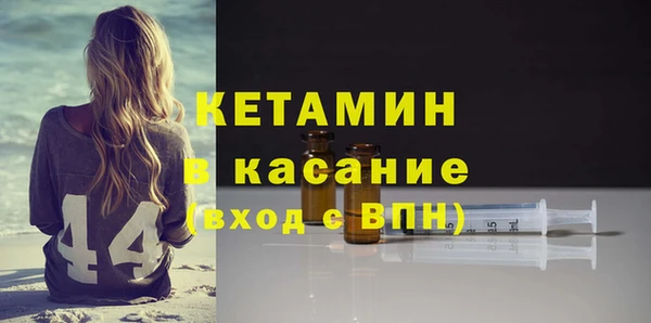 сатива Россошь
