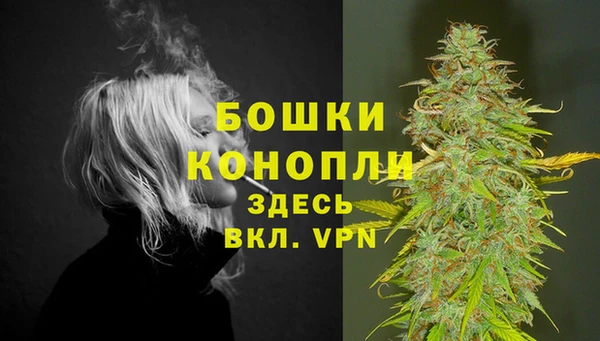 сатива Арсеньев