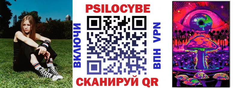 hydra как войти Колпашево Псилоцибиновые грибы мицелий